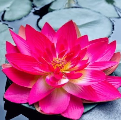 Julie Faverot - Professeur De Kundalini Yoga Therapist Holistic, Cours de Yoga à Rezé