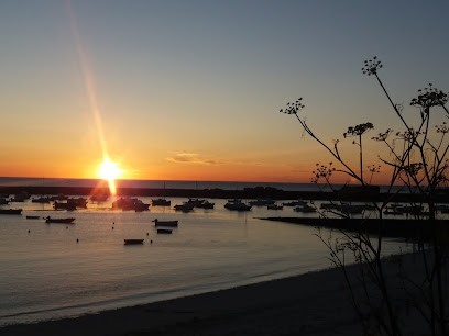 Au Petit Bonheur Thomas Gaëlle, Thérapeute Reiki à Noroy-le-Bourg