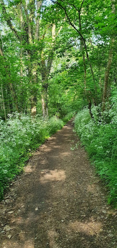 SOPHROLOGUE Spécialisée Dans L'Enfance Et L'Adolescence- Enseignante Reiki -Hypnotérapeute 86540 BESSE (Thuré), Thérapeute Reiki à Thuré