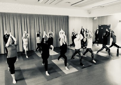 Yoga Nomade, Cours de Yoga à Niedersoultzbach