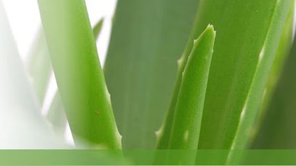 Jeanneau - Leveque Sylvie, Thérapeute Reiki au Cannet