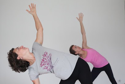Studio Elements, Cours de Yoga à Wissant