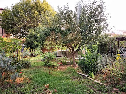 Ass Presence D'esprit, Cours de Yoga à Sainte-Cécile-les-Vignes