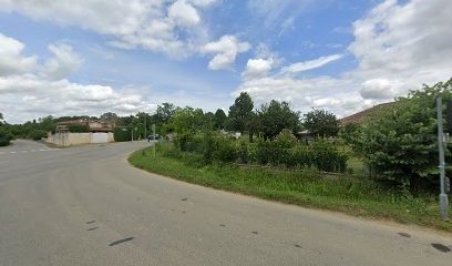 Reïki, Énergétique Traditionnel Chinois, Fleurs de Bach l'Isle Jourdain : Bornarel Pascal, Thérapeute Reiki à Gimont