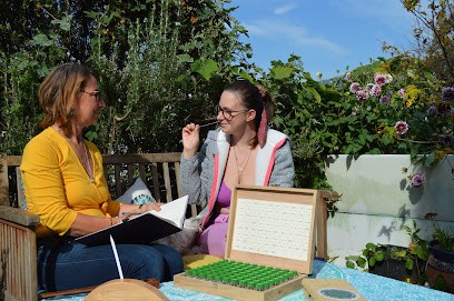 Samapati Yogaom, Cours de Yoga à Prades
