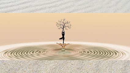 IFEAZEN - Stéphanie Guicheteau, Thérapeute Reiki à Essarts en Bocage