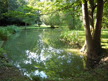Yogaplume Sylviane Patron, Cours de Yoga à Triel-sur-Seine