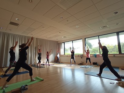 Association Plérinaise De Yoga, Cours de Yoga à Plérin
