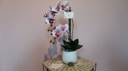 Pauline Giraudon, Thérapeute Reiki à Domérat