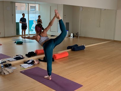 Le Petit Ashram, Cours de Yoga à Vinon-sur-Verdon