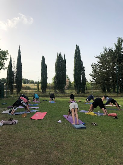 Yoga Saussines, Cours de Yoga à Saussines