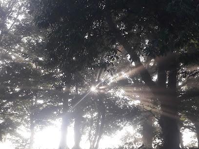 Yoga Et Ayurveda : Association Nandana * Laetitia, Cours de Yoga à Mellionnec