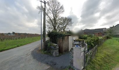 Pause Yoga Régine Vivier, Cours de Yoga aux Alleuds