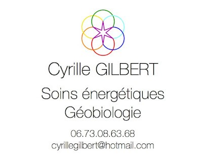 Cyrille GILBERT MAGNÉTISEUR NANTES VERTOU Soins énergétiques Géobiologie, Thérapeute Reiki à Vertou