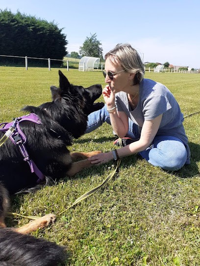Cécile Bisiaux, Communicatrice animalière et praticienne Reiki animalier, Thérapeute Reiki à Petit-Caux