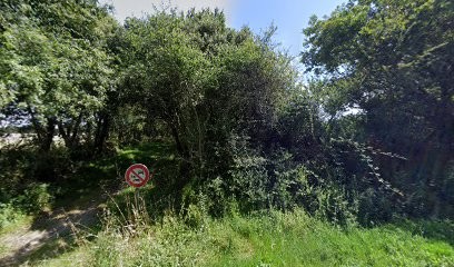 Véronique VILLEFEU - Magnétiseuse énergéticienne, humains et animaux en Vendée, Thérapeute Reiki à Talmont-Saint-Hilaire