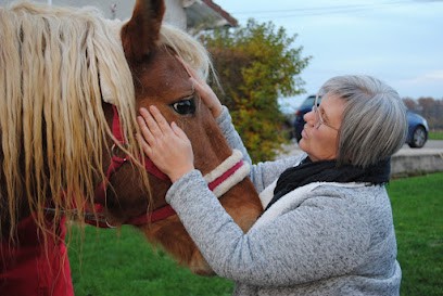 Isabelle Bernard Magnétiseuse et Bien-Etre animal Ô PRE DE LOUANGES, Thérapeute Reiki à Rouvres-les-Vignes