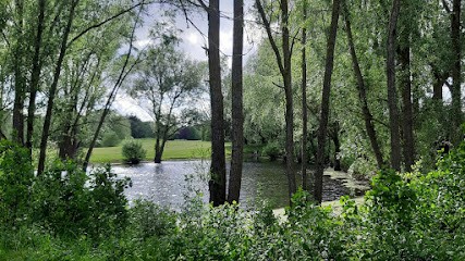 Les énergies D'Hélène, Reiki, Magnétisme Et Communication Animale, Thérapeute Reiki à Bussy-Saint-Georges