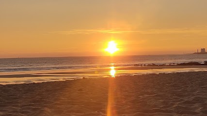 Sébastien Daheron, Thérapeute Reiki à L'Herbergement