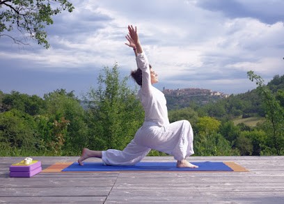 Yoga Devi À Cordes-Sur-Ciel, Cours de Yoga à Livers-Cazelles