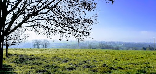 Yog-Energie : Nolwenn, Thérapeute Reiki à Saint-Jean-sur-Vilaine