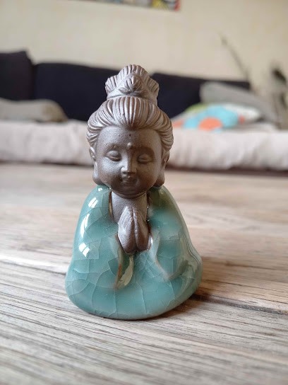 Sylvie Drouaud Praticenne Reiki Usui, Magnétiseuse., Thérapeute Reiki à Vouneuil-sous-Biard