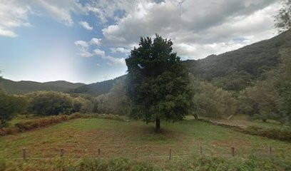 Association Kôram, Cours de Yoga à Sisco