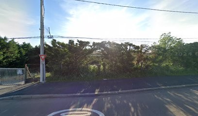 Magnetisme-Reiki-Quantum Touch-Géobiologie, Thérapeute Reiki à Genay