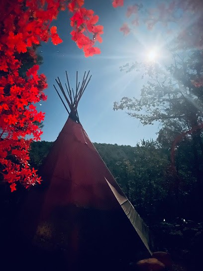 Claudia Ruff Chemin Du Yoga, Cours de Yoga à Cessy