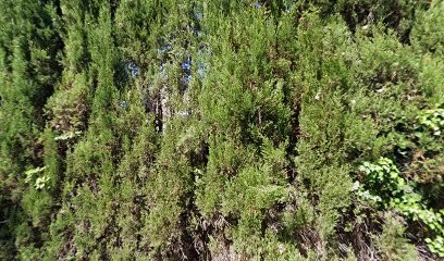 Essential Pilates, Studio de Pilates à Vence