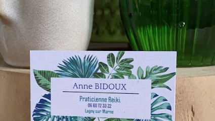 Anne Bidoux Reiki, Thérapeute Reiki à Lagny-sur-Marne