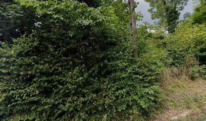 Gym Douce Cie Catherine Hody - Professeur De Yoga, Cours de Yoga à Montcy-Notre-Dame