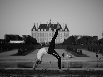 Le Tao Energies, Cours de Yoga à Sceaux