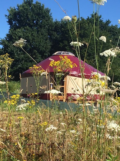 Yoga Renyogazen, Cours de Yoga à Mouazé