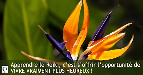 Plumes De Forêt, Thérapeute Reiki à Belfort