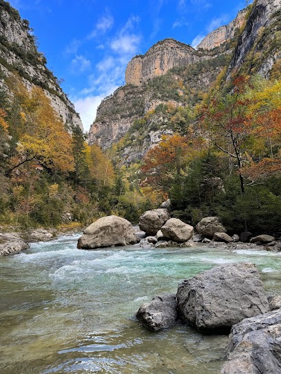 AndBe Yoga, Cours de Yoga à Navarrenx