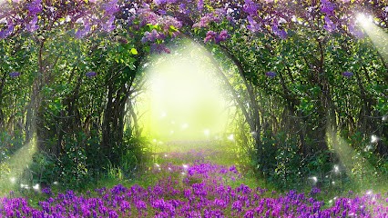 Sophraroma, Thérapeute Reiki à Adriers