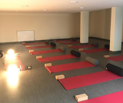 Yoze - Luxembourg, Cours de Yoga à Paris 06