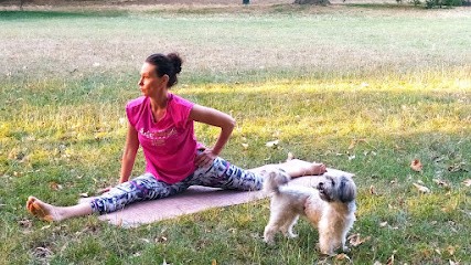 My Studio De Yoga, Cours de Yoga à Vichy