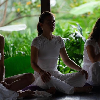 Wyoga, Cours de Yoga à Lourches