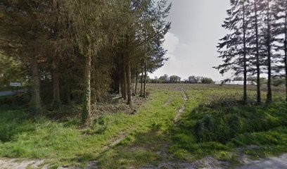 Mon Essence, Thérapeute Reiki à Moréac