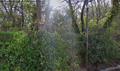Purna Yoga, Cours de Yoga à Six-Fours-les-Plages