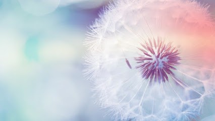 Yoga De L'énergie - Vinyasa - Pré&Post Natal - Féminité - Care Énergétiques & Rebozo, Cours de Yoga à Villers-le-Lac