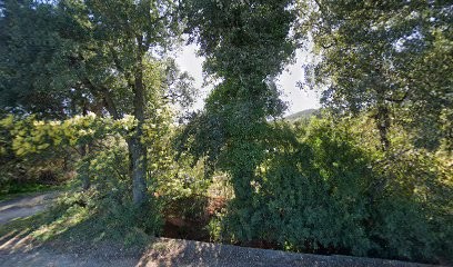 Liliane DELOUES, Thérapeute Reiki à La Londe-les-Maures