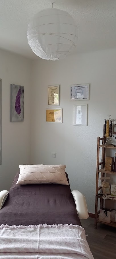 Christine Cazeneuve Energéticienne, Thérapeute Reiki à Carcassonne