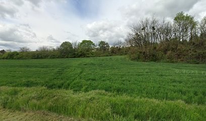 Harmo Vie, Thérapeute Reiki à Sainte-Marie-sur-Ouche