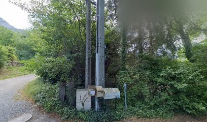 Conscience du Coeur, Thérapeute Reiki à Thyez