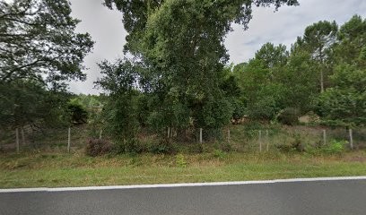 Alice Kieffer / Body Light | Yoga | Tai Chi | Qi Gong | Show Dance Bollywood, Cours de Yoga à Tosse