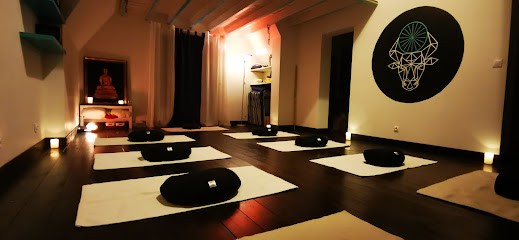 Apis Yoga, Cours de Yoga aux Trois Lacs