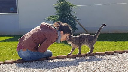 AUDREY COEURS ET AMES, Thérapeute Reiki à Aiserey